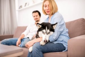 Pain of Dog: Common Symptoms & What Pet Parents Can Do